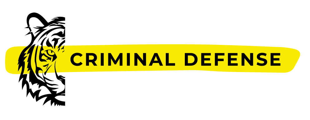 Catherine Turner – Best Criminal Defense Attorney Specialist